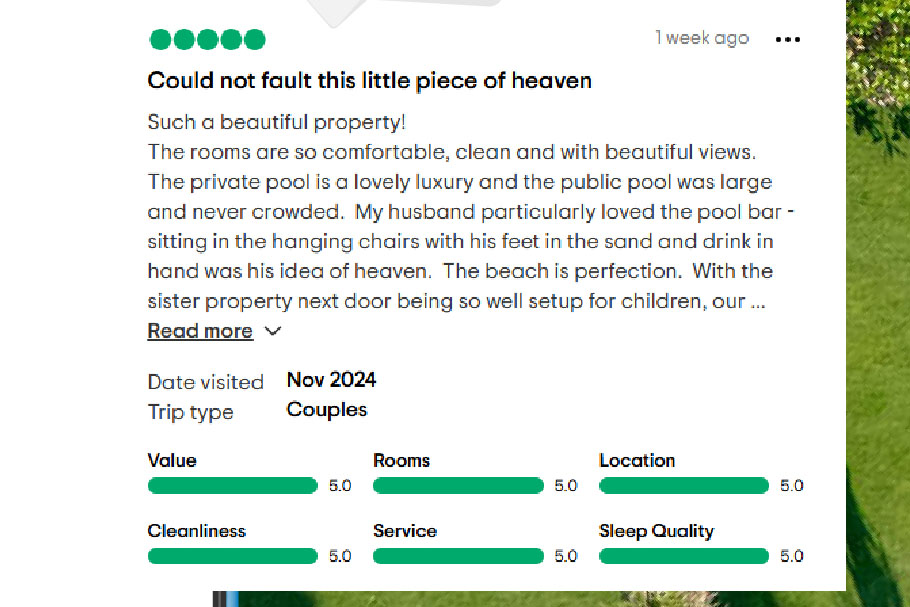 Guest Reviews